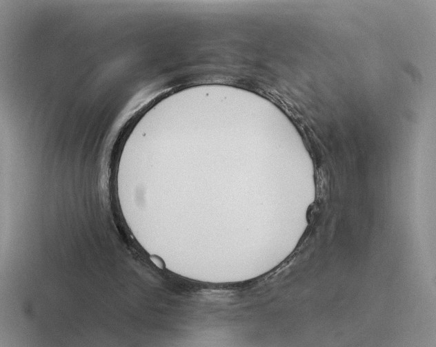 X0000116650150201001041057