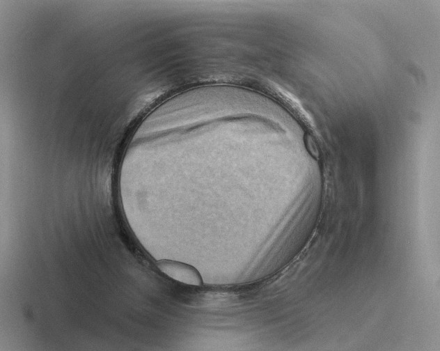 X0000116650154201001041057