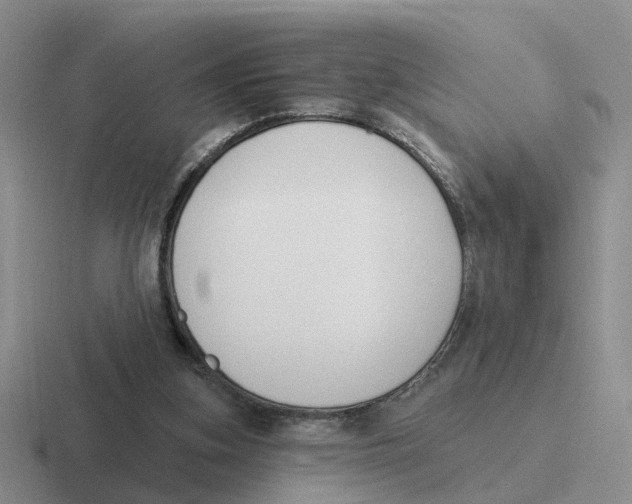 X0000116650155201001041057