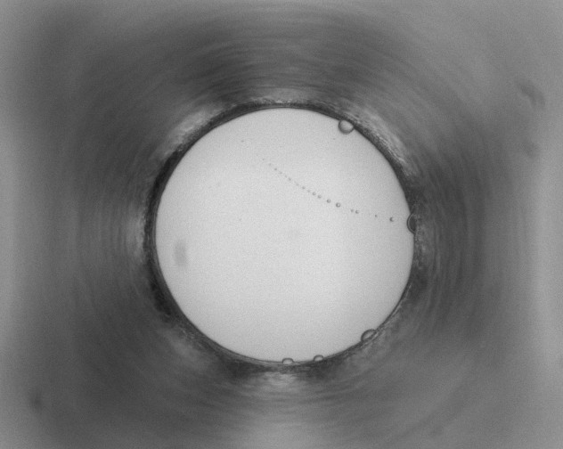 X0000116650159201001041057