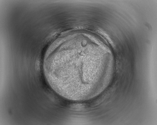 X0000116650161201001041057