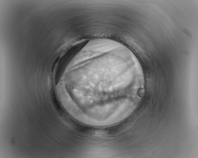 X0000116650165201001041057