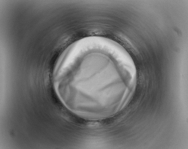 X0000116650169201001041057