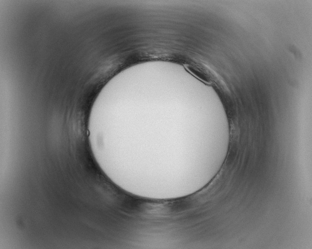 X0000116650170201001041057