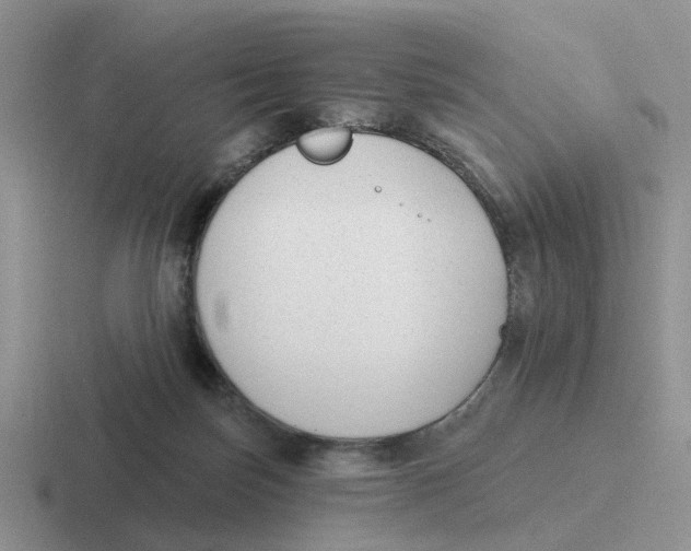 X0000116650171201001041057