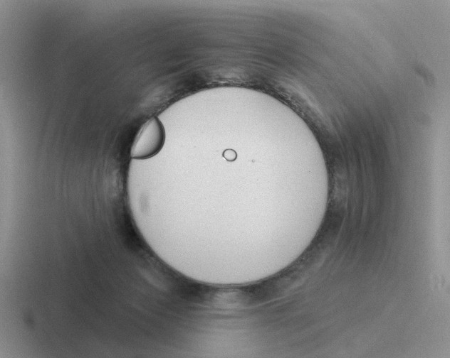 X0000116650173201001041057