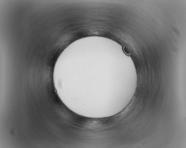 X0000116650174201001041057