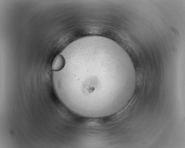 X0000116650175201001041057