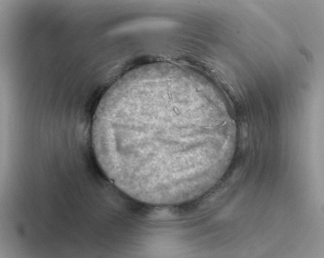 X0000116650177201001041057