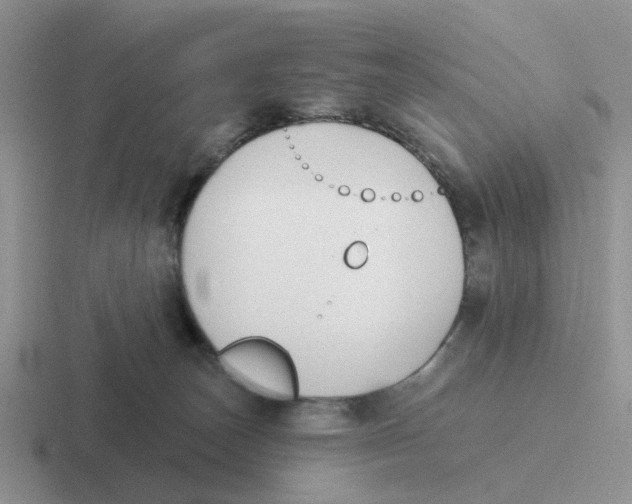 X0000116650179201001041057