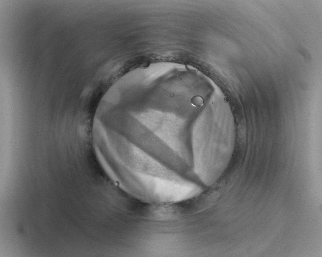 X0000116650181201001041057