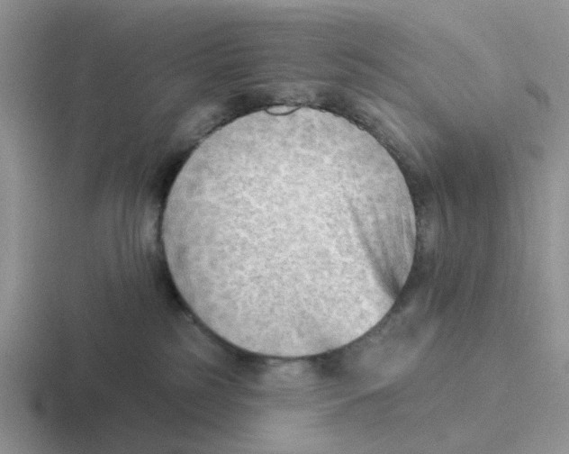 X0000116650185201001041057