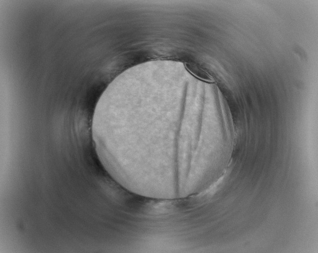 X0000116650186201001041057