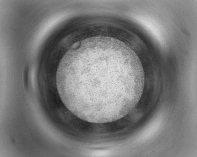 X0000116650189201001041057