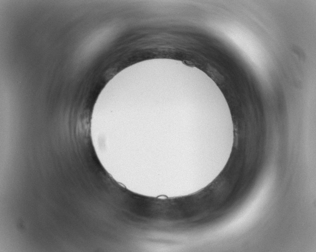 X0000116650190201001041057