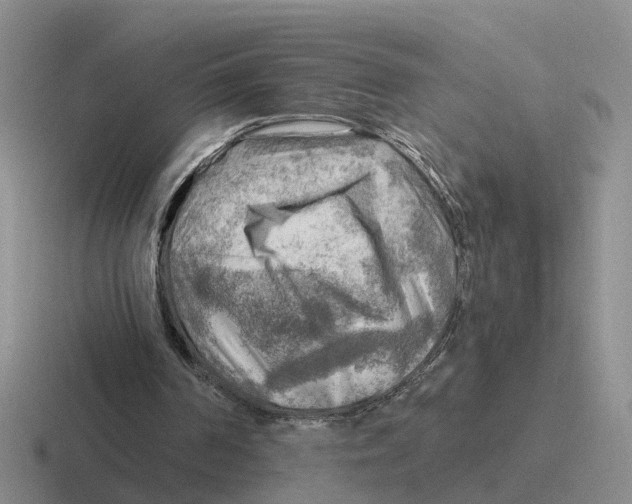 X0000116650194201001041057