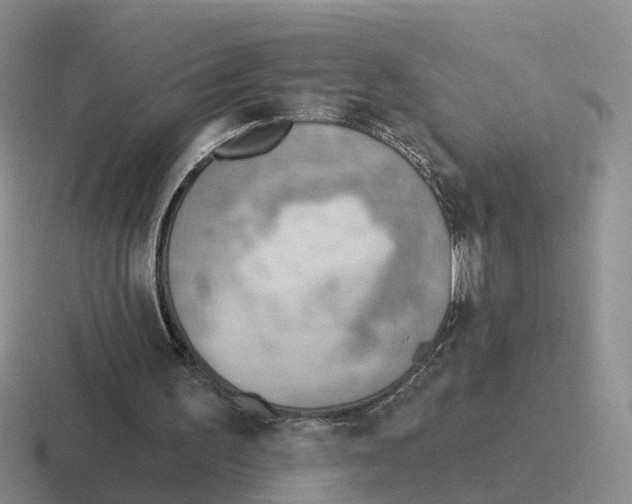 X0000116650195201001041057