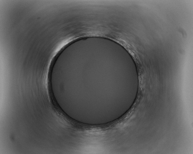 X0000116650196201001041057