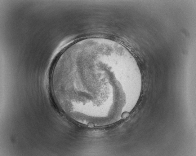 X0000116650198201001041057