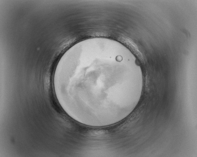 X0000116650202201001041057