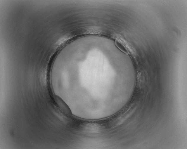 X0000116650203201001041057