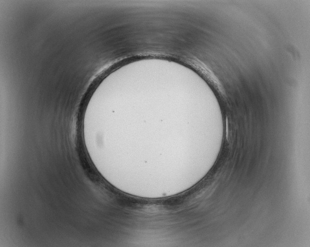 X0000116650204201001041057