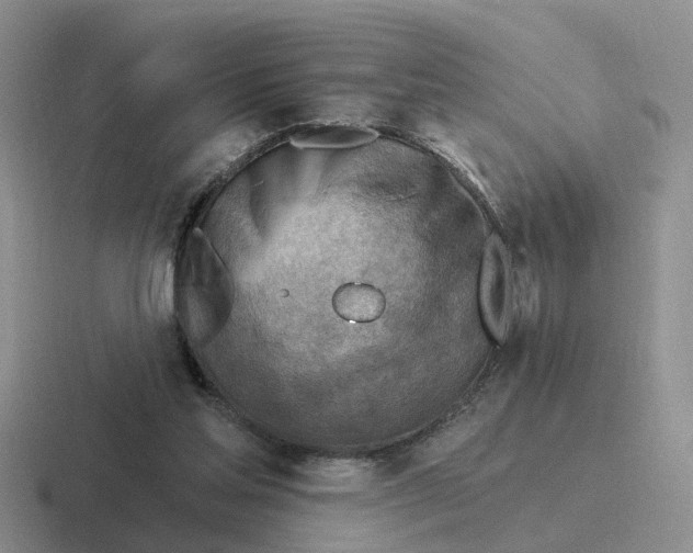 X0000116650205201001041057