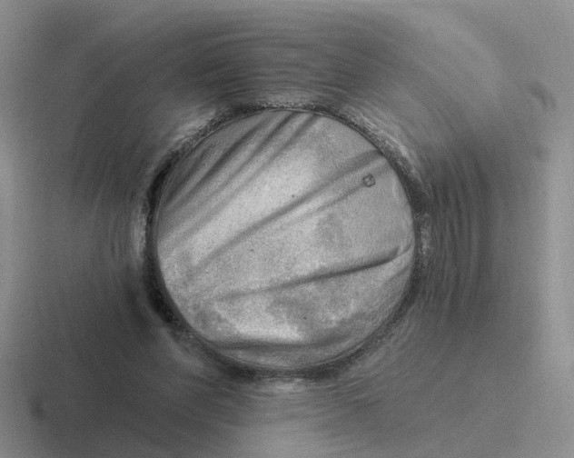 X0000116650206201001041057