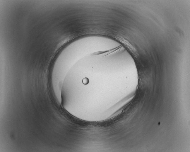 X0000116650207201001041057