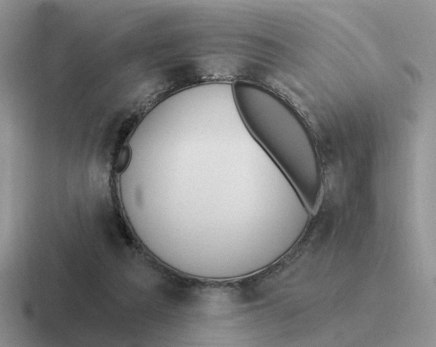 X0000116650209201001041057