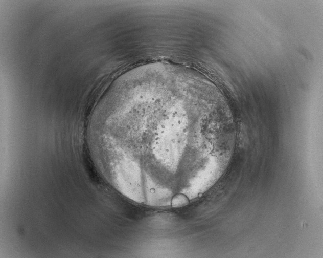 X0000116650210201001041057