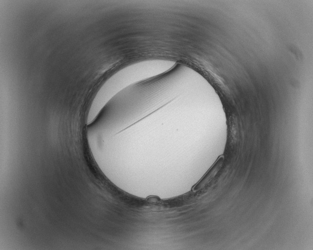 X0000116650211201001041056