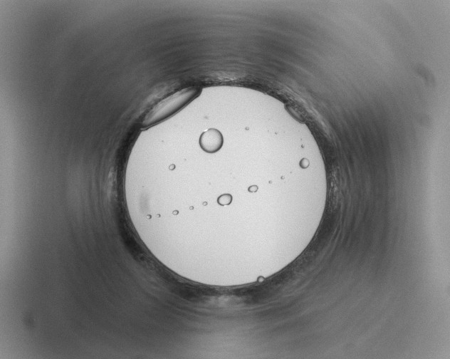 X0000116650212201001041056