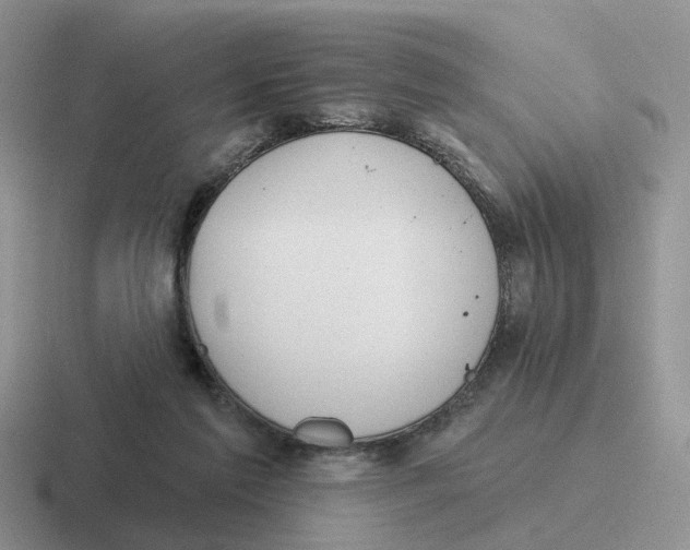 X0000116650213201001041056