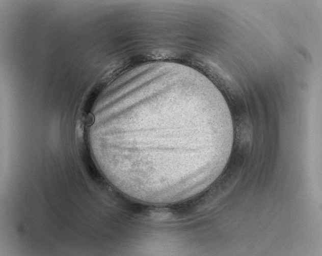 X0000116650214201001041056