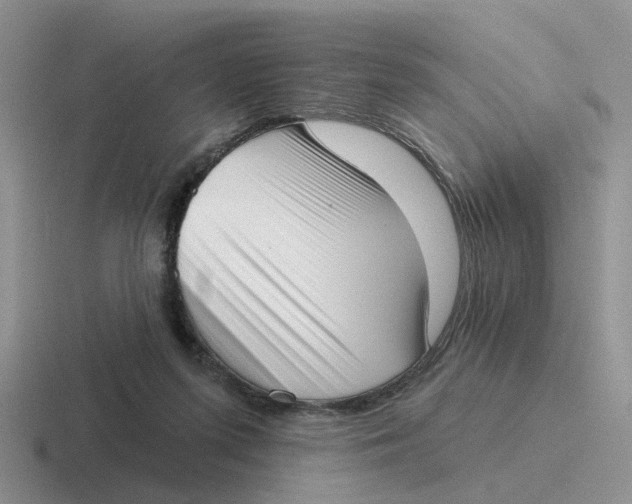 X0000116650215201001041056