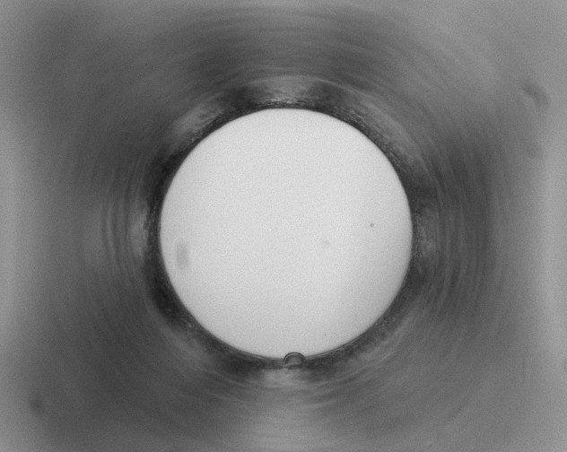 X0000116650216201001041056