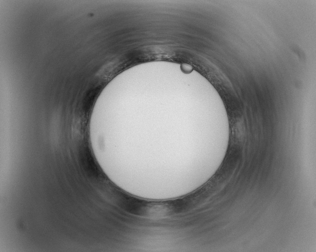 X0000116650218201001041056