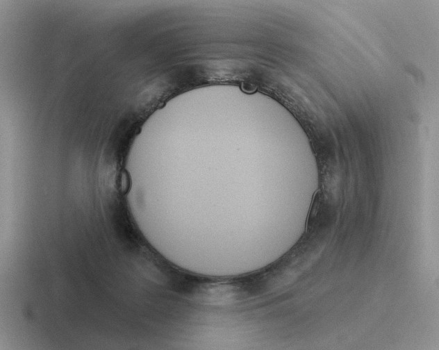 X0000116650219201001041056