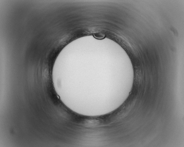 X0000116650220201001041056