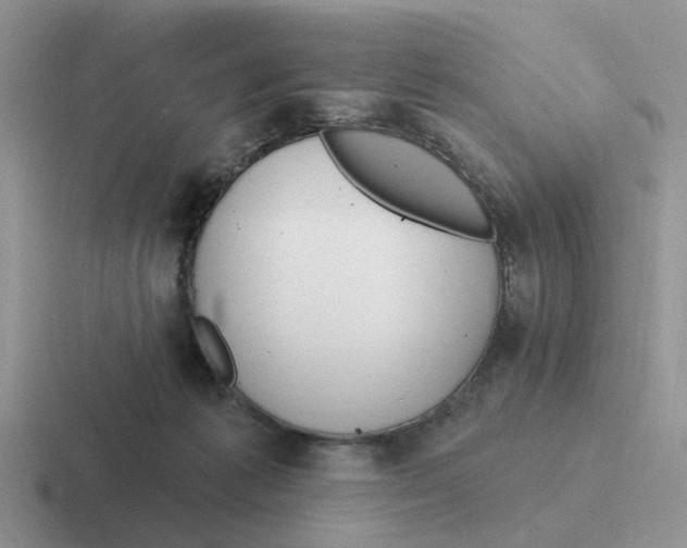 X0000116650221201001041056