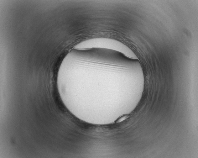 X0000116650223201001041056