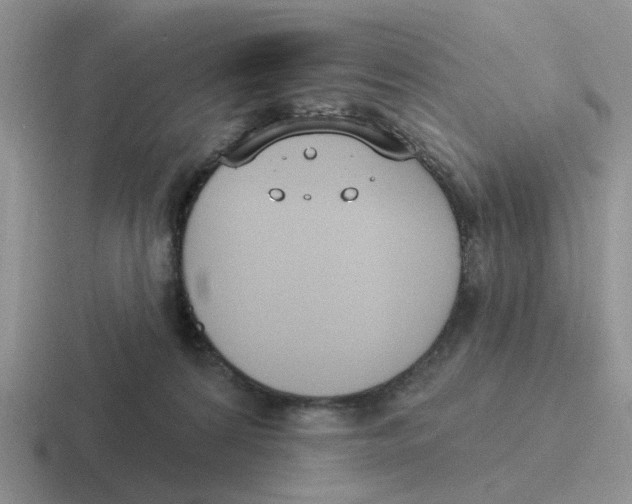 X0000116650224201001041056