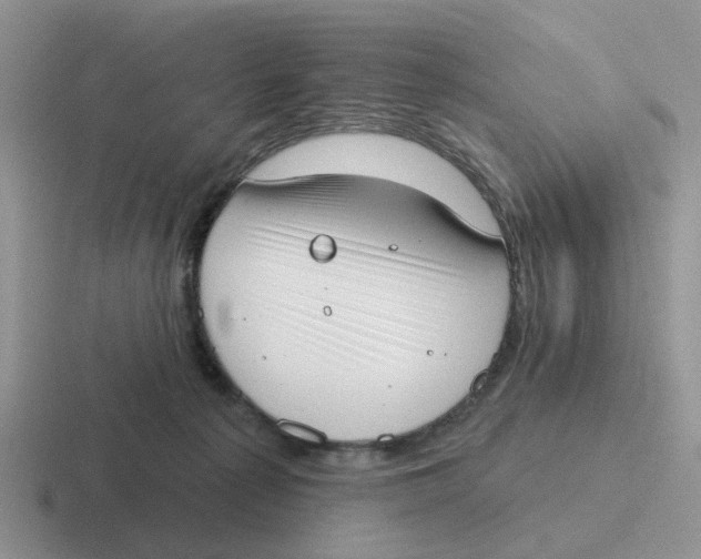 X0000116650225201001041056