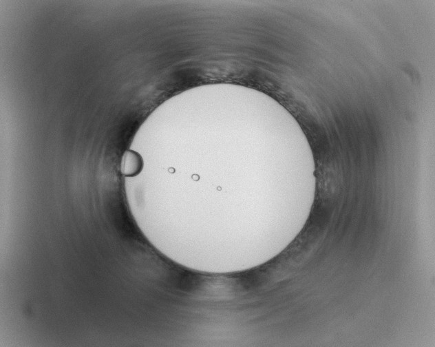 X0000116650226201001041056