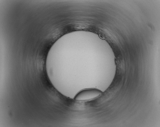 X0000116650227201001041056