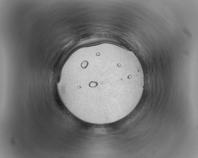 X0000116650228201001041056