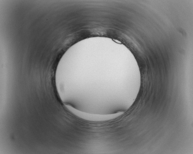 X0000116650229201001041056