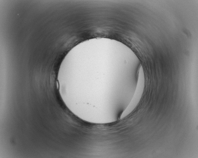 X0000116650231201001041056