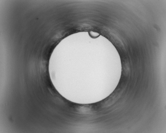 X0000116650232201001041056